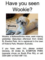 Have you seen Wookie?